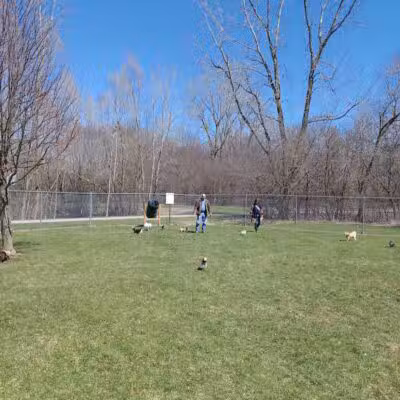 Northern Tail Dog Park - East Lansing,