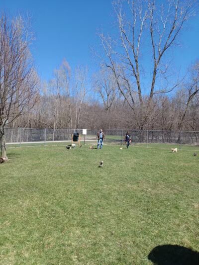 Northern Tail Dog Park - East Lansing,