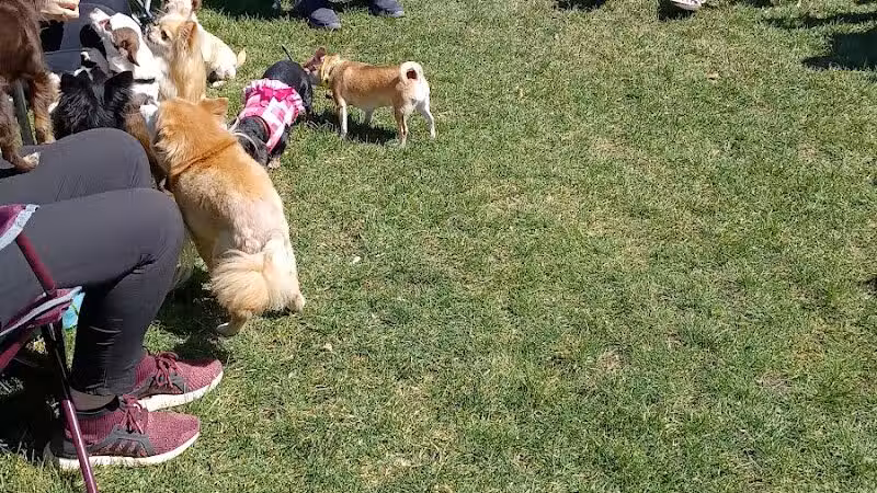 Northern Tail Dog Park - East Lansing,