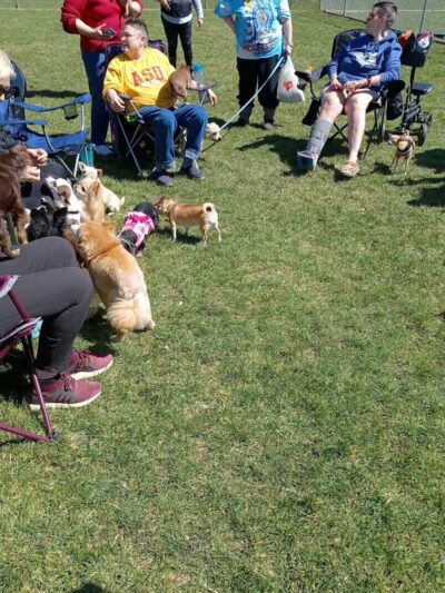 Northern Tail Dog Park - East Lansing,