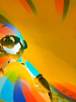 Dogwood Picnic Area - East Meadow, NY