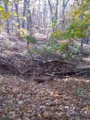 Knolls Park - East Northport, NY