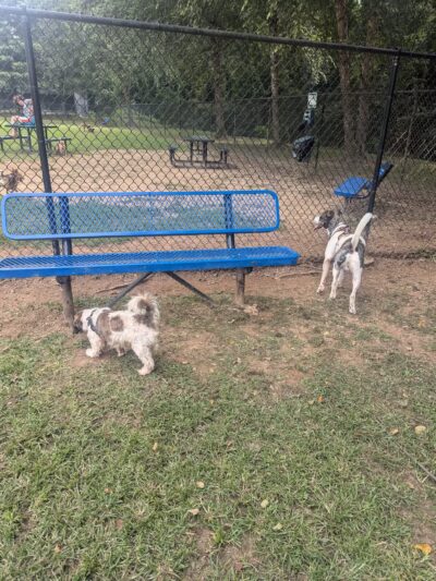 East Point Dog Park - East Point, GA