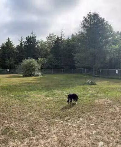 W. Leroy Lewis Dog Park - East Stroudsburg, PA