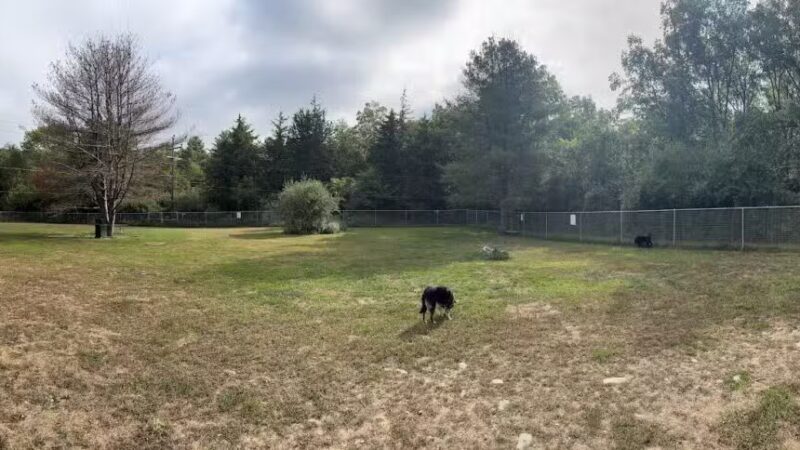 W. Leroy Lewis Dog Park - East Stroudsburg, PA
