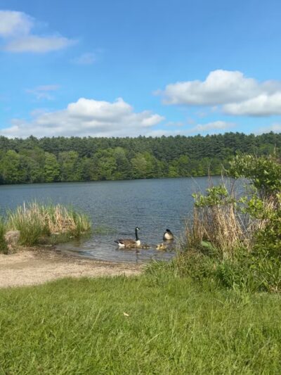 Massasoit State Park - East Taunton, MA
