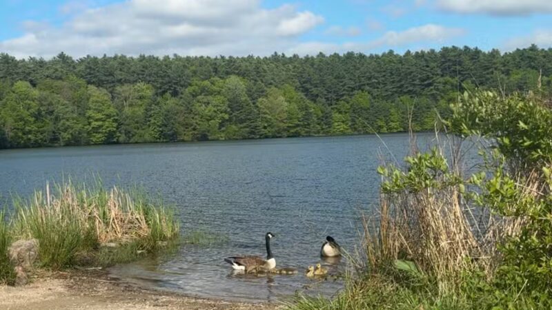 Massasoit State Park - East Taunton, MA