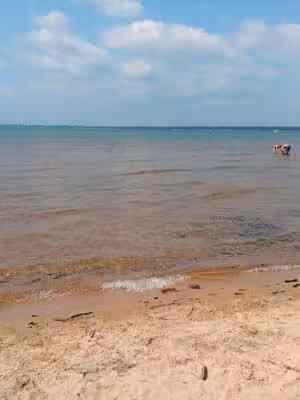 Tawas Point Dog Beach - East Tawas,
