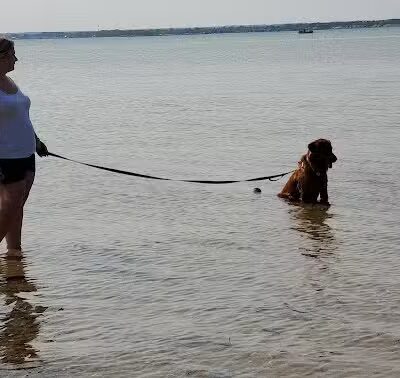 Tawas Point Dog Beach - East Tawas,