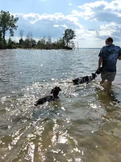 Tawas Point Dog Beach - East Tawas,