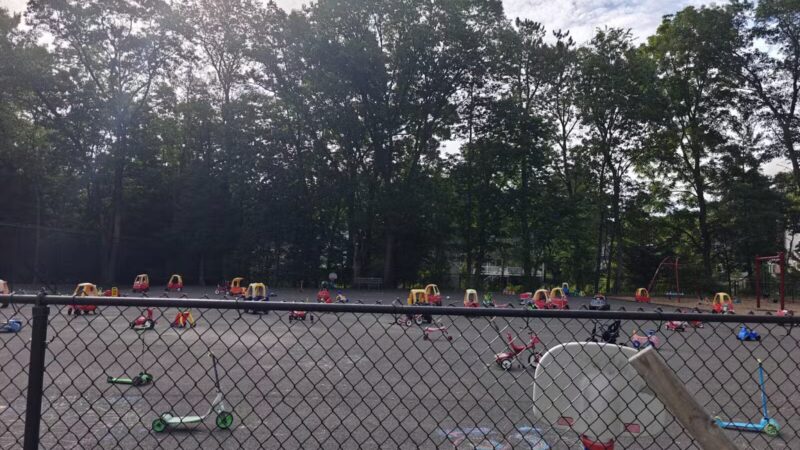 Francis William Bird Park - East Walpole, MA