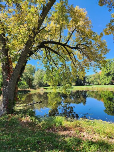 Bird park -church - East Walpole, MA