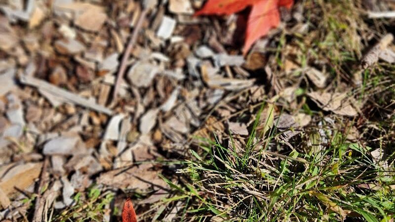 Bird park -church - East Walpole, MA