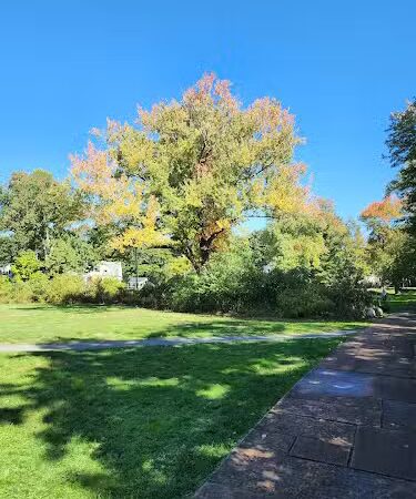 Bird park -church - East Walpole, MA