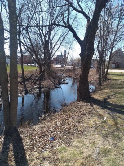 Bird Park Parking - East Walpole, MA