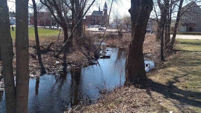 Bird Park Parking - East Walpole, MA