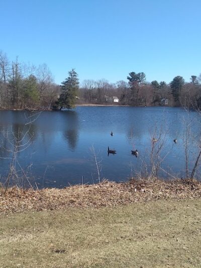 Bird Park Parking - East Walpole, MA