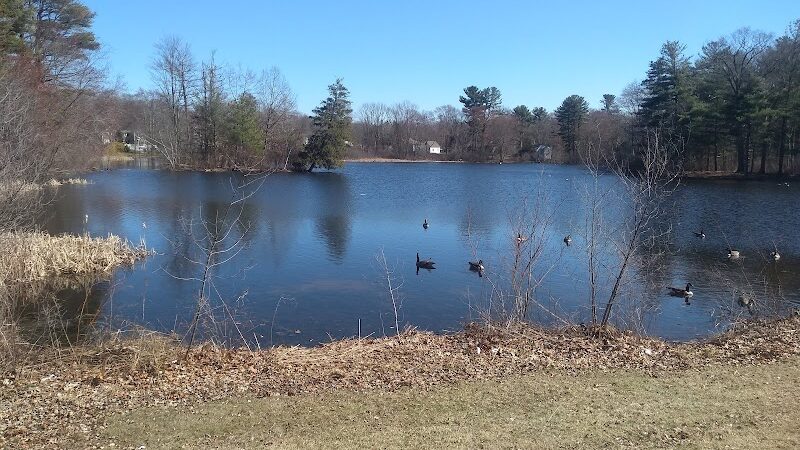 Bird Park Parking - East Walpole, MA