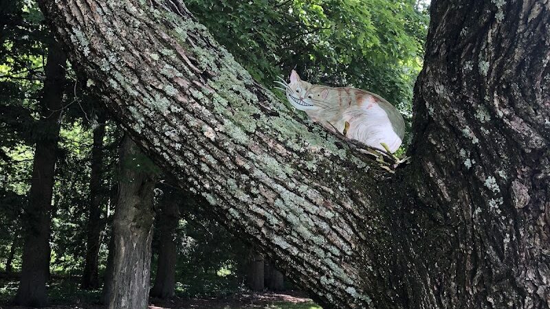 Bird Park Parking - East Walpole, MA