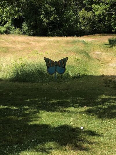 Bird Park Parking - East Walpole, MA