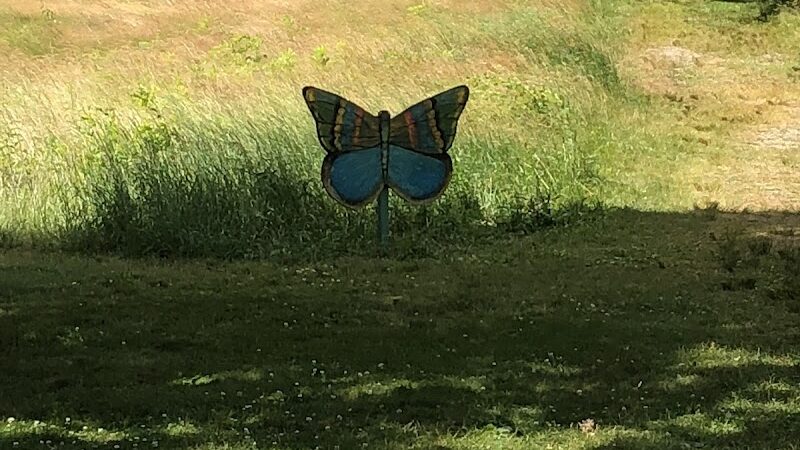 Bird Park Parking - East Walpole, MA