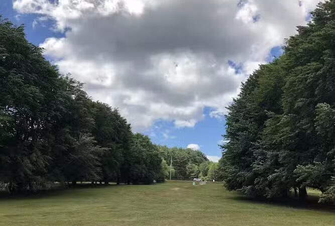 Bird Park Parking - East Walpole, MA