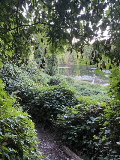 Endean Trail - East Walpole, MA