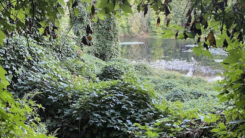 Endean Trail - East Walpole, MA