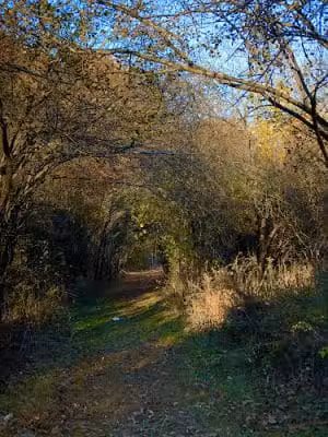 Endean Trail - East Walpole, MA