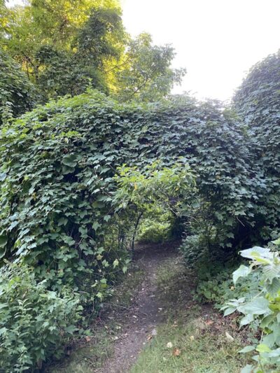 Endean Trail - East Walpole, MA