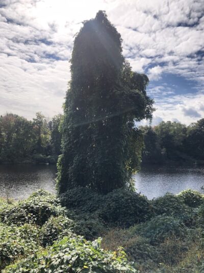 Endean Trail - East Walpole, MA