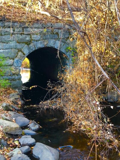 Endean Trail - East Walpole, MA