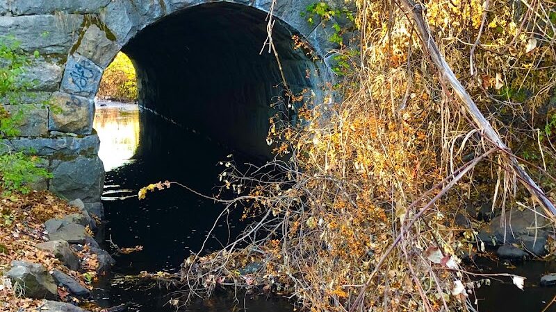 Endean Trail - East Walpole, MA