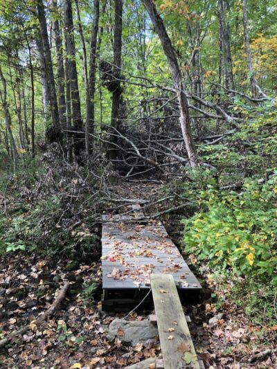 Endean Trail - East Walpole, MA