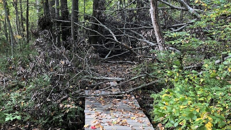 Endean Trail - East Walpole, MA