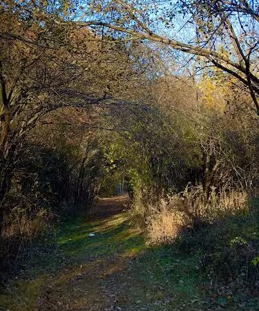 Endean Trail - East Walpole, MA