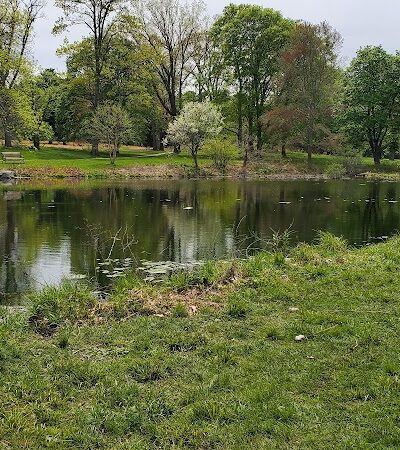 Francis William Bird Park - East Walpole, MA