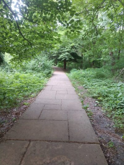 Francis William Bird Park - East Walpole, MA