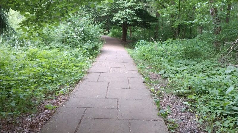 Francis William Bird Park - East Walpole, MA