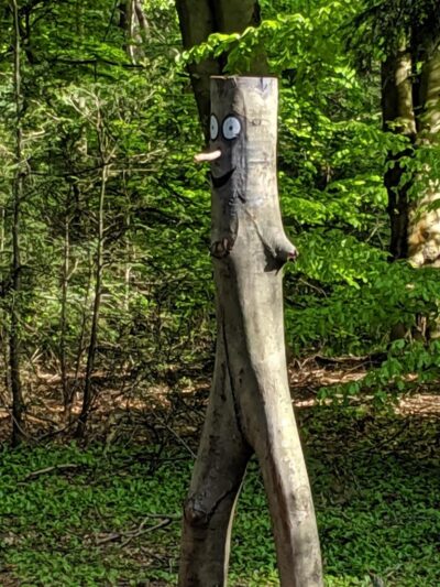 Francis William Bird Park - East Walpole, MA