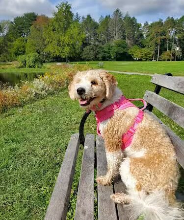 Francis William Bird Park - East Walpole, MA