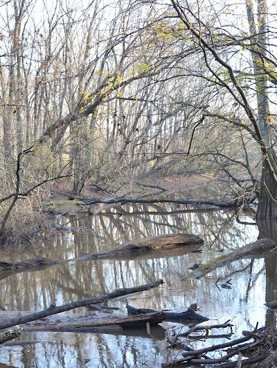 Fork Swamp Trailhead - Eastover, SC