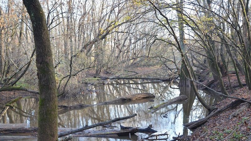 Fork Swamp Trailhead - Eastover, SC