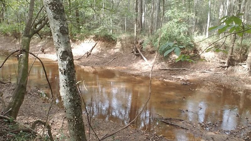 Fork Swamp Trailhead - Eastover, SC