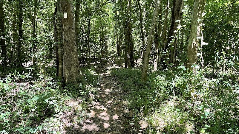 Fork Swamp Trailhead - Eastover, SC