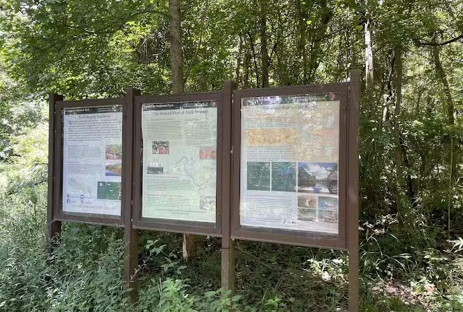 Fork Swamp Trailhead - Eastover, SC