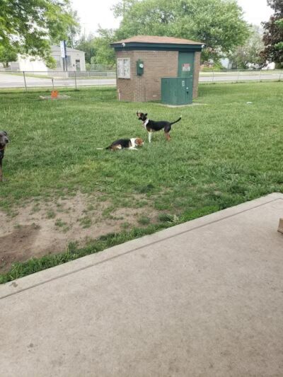 Coinage-Priority, Inc. - Eastpointe,