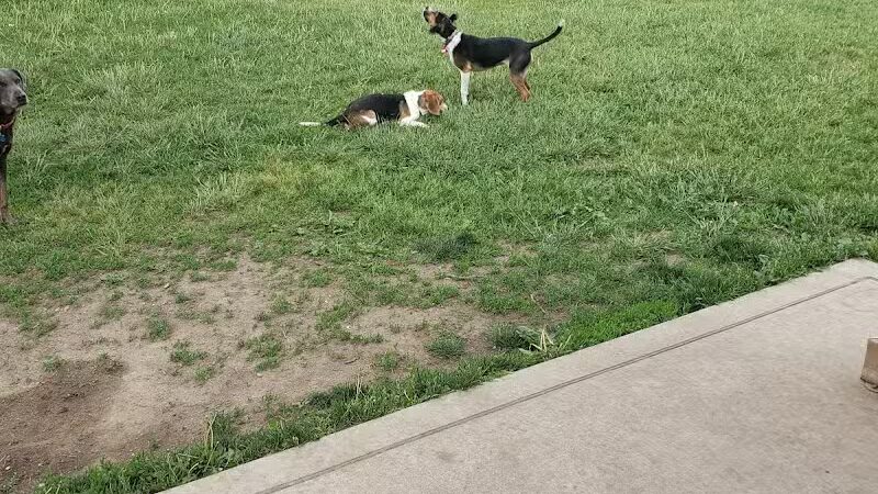 Coinage-Priority, Inc. - Eastpointe,