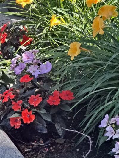 Coinage-Priority, Inc. - Eastpointe,