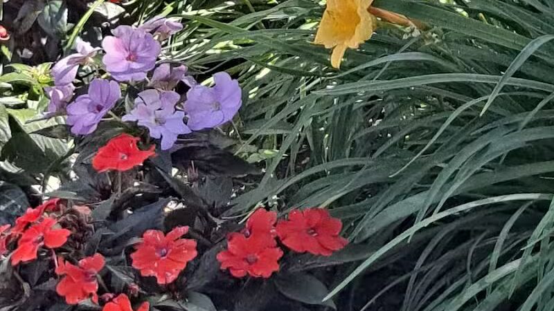 Coinage-Priority, Inc. - Eastpointe,